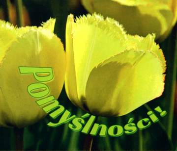 Pomyślności perełki