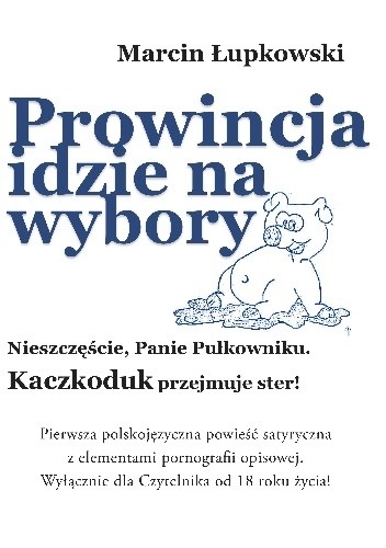 PROWINCJA IDZIE NA WYBORY. NIESZCZĘŚCIE, PANIE PUŁKOWNIKU.  KACZKODUK PRZEJMUJE STER!