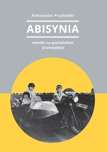 Abisynia ? osiedle na poznańskim Grunwaldzie