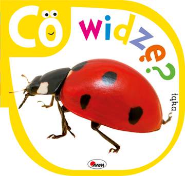 Co widzę łąka