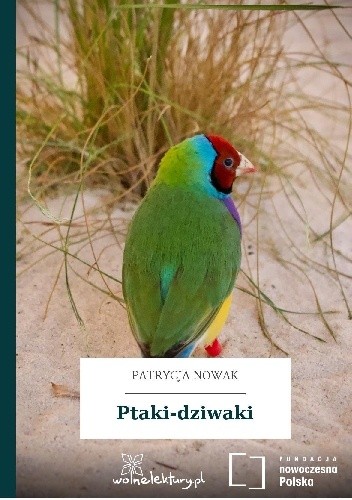 Ptaki - dziwaki