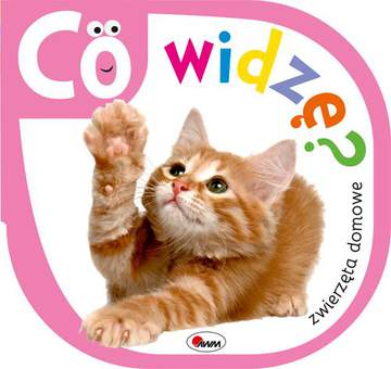Co widzę zwierzęta domowe