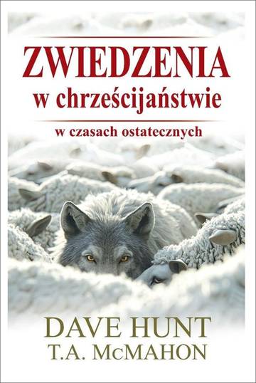 Zwiedzenia w chrześcijaństwie w czasach ostatecznych
