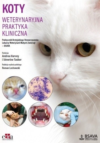 Koty. Weterynaryjna praktyka kliniczna