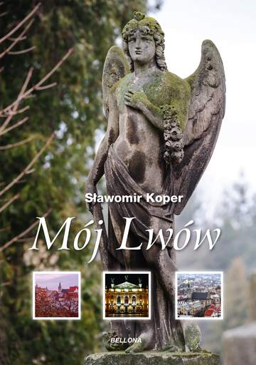 Mój lwów