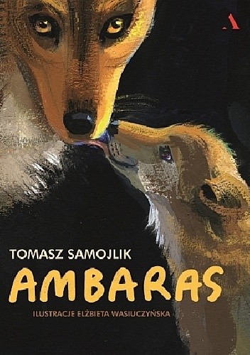 Ambaras