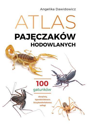 Atlas pajęczaków hodowlanych. 100 gatunków