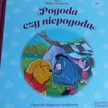 Pogoda czy niepogoda