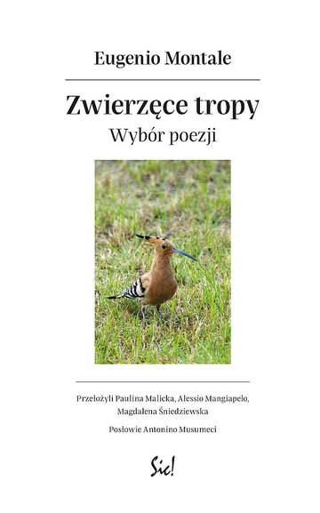 Zwierzęce tropy