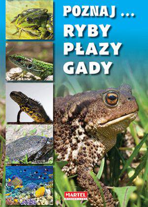 Ryby płazy gady poznaj