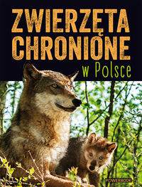 Zwierzęta chronione w Polsce